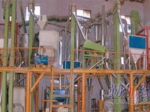 河南鑫豐供應商 專業(yè)提供面粉機成套設備及二手面粉機，合作河南工業(yè)大學，品質保障